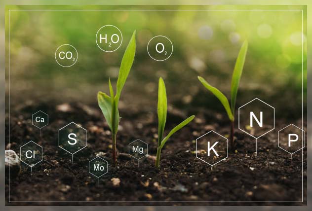 nitrogen fertilizers contribute to climate change