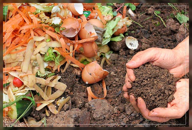 organic fertilizer for green vegetables