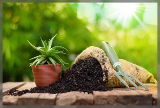organic fertilizers