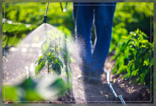 organic fertilizer types