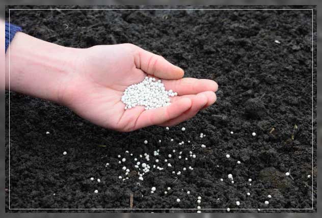 synthetic fertilizer granules