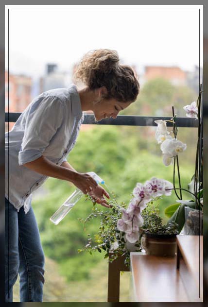 watering