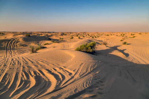 Dubai weather 3