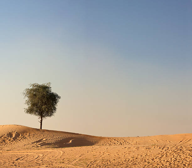 Dubai weather 4