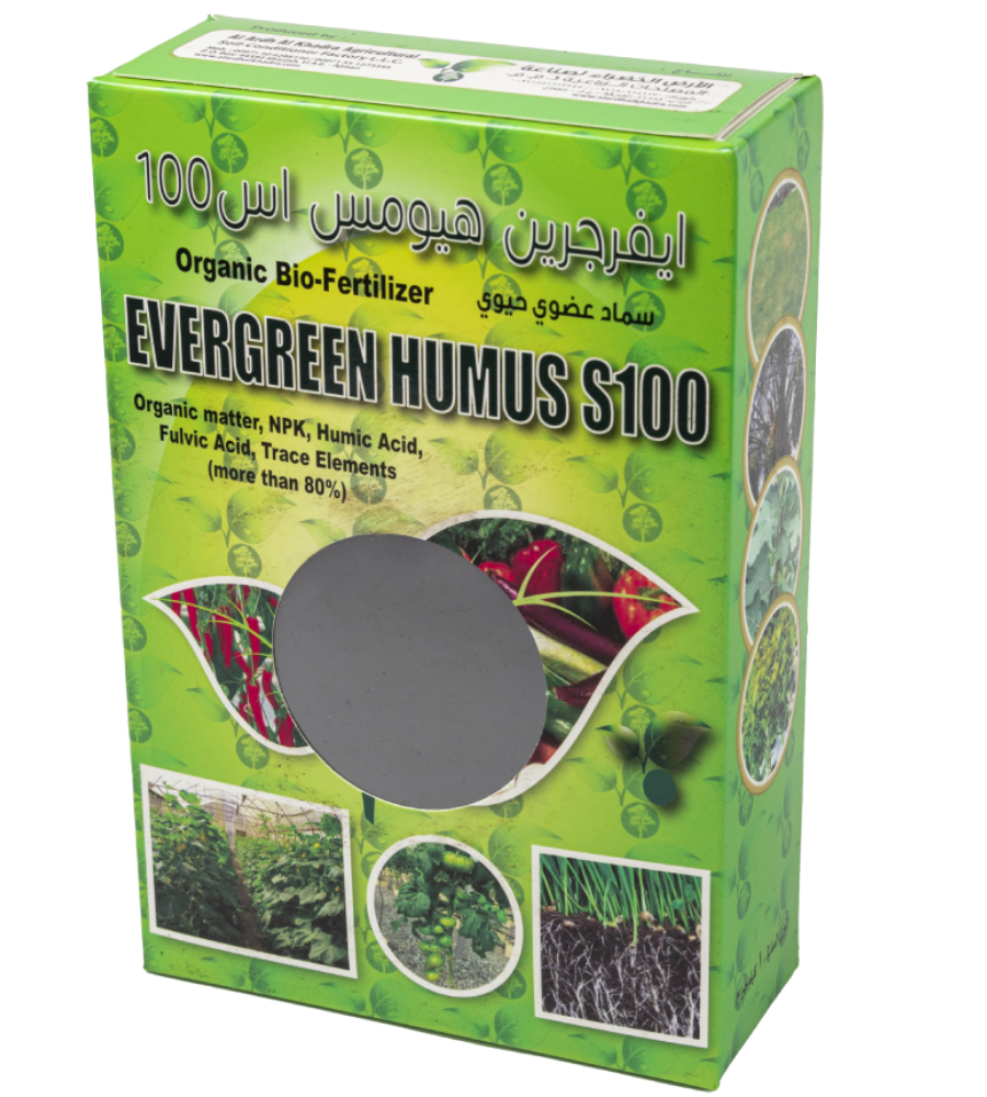 evergreen-100