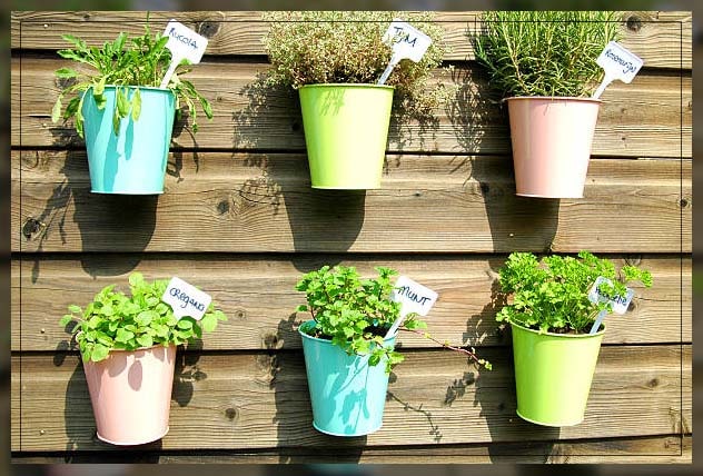 herb garden 2