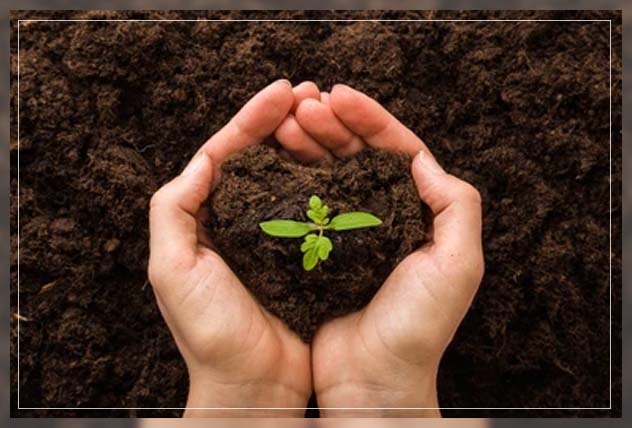 using nitrogen at good levels 