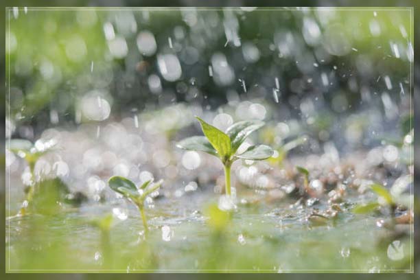 Hydrological Cycle 1