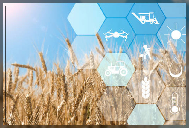 Sustainable Farming 1