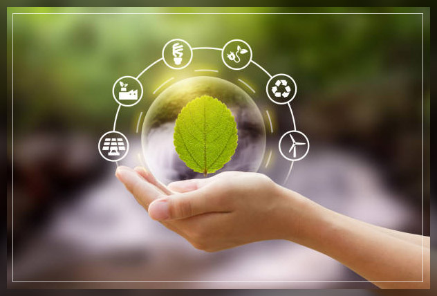 Sustainable Farming 3