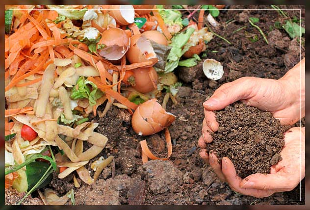agriculture waste management