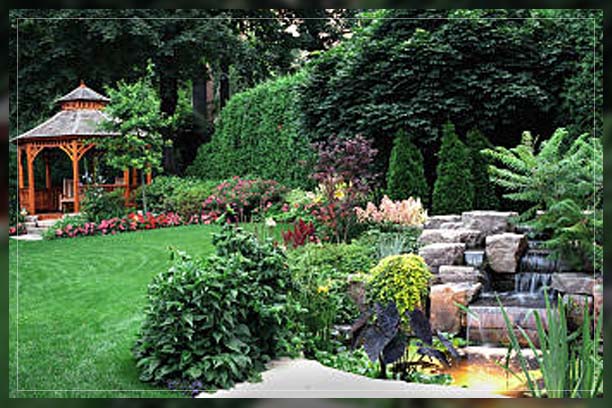 shade garden in day