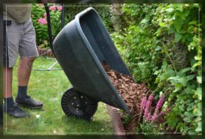 understanding the complete process to mulch goodness