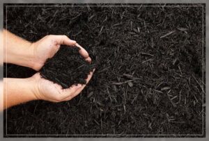 spreading the mulch in an even layer