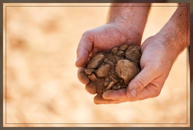 sandy soil