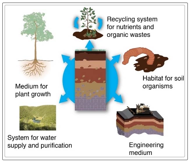 selecting soil for your garden