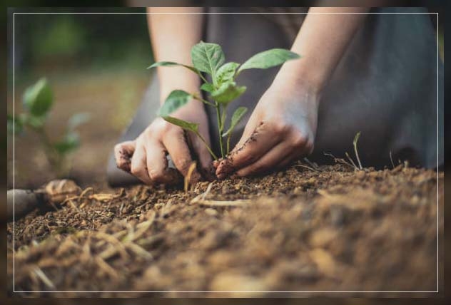soil conservation