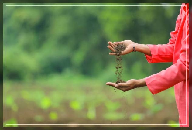 soil conservation