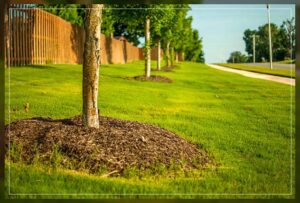 why making mulch is essential for healthy gardening