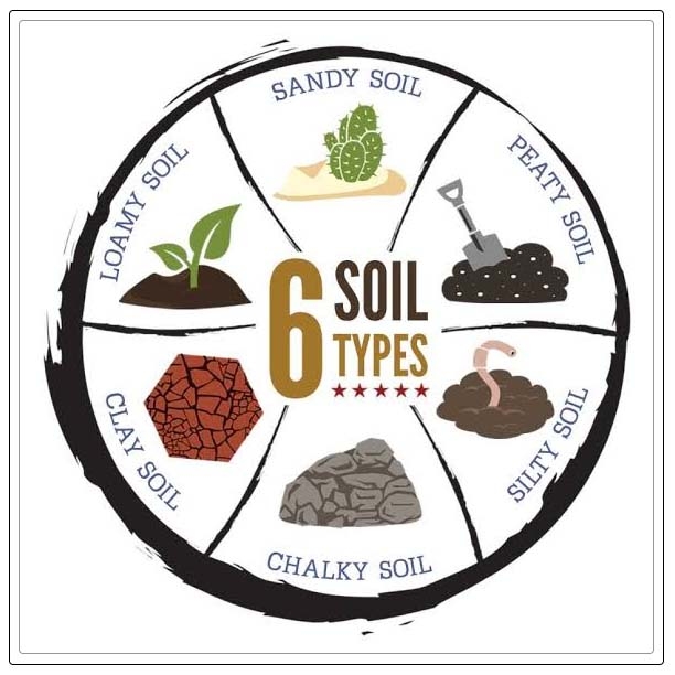 types of soil 1
