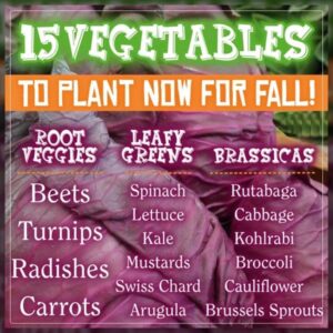 planting vegetables in fall 