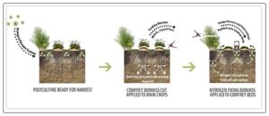 planting more than one type of crop