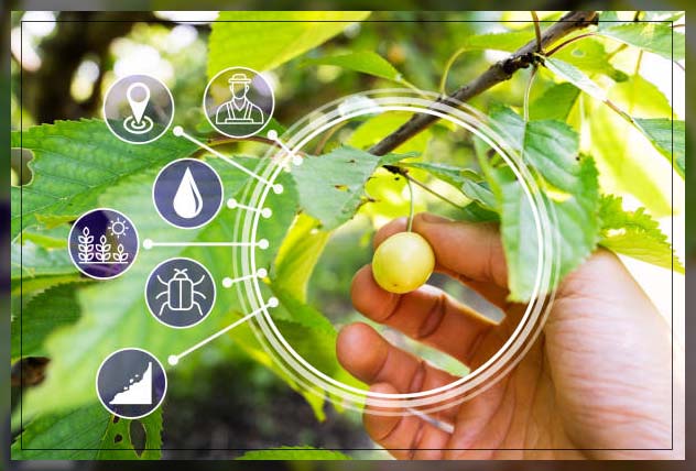 Smart farming 2