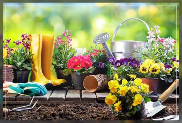 looking into the basic gardening skills