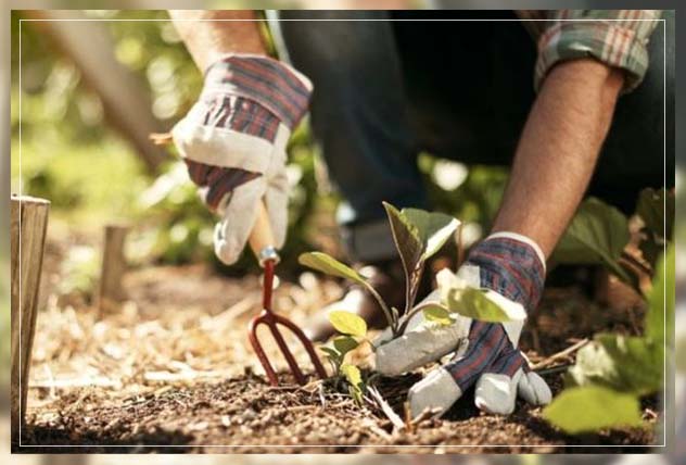 using garden tools