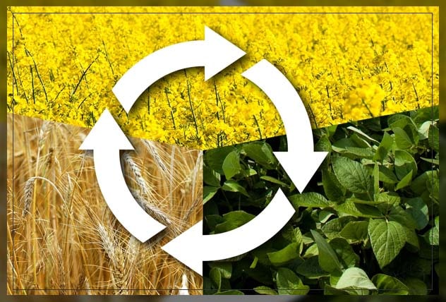 adapting composting
