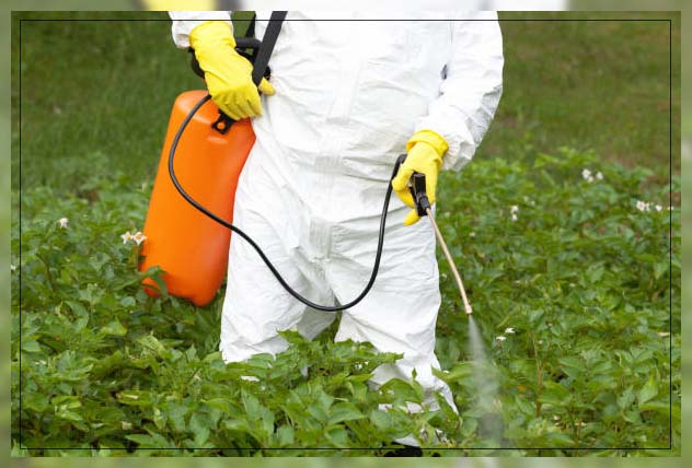 pest control