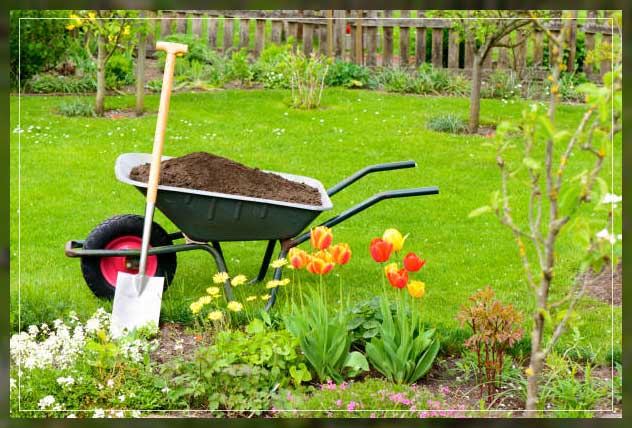 how to fertilize your garden properly
