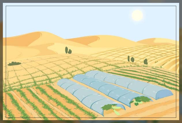 Dubai farms 3