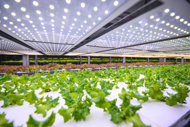 Modern farming techniques 6
