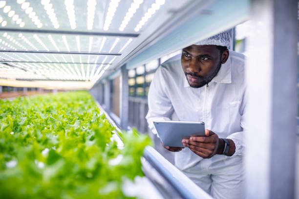 Modern farming techniques 7