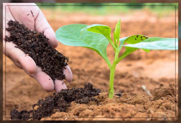 Soil conditioner 2