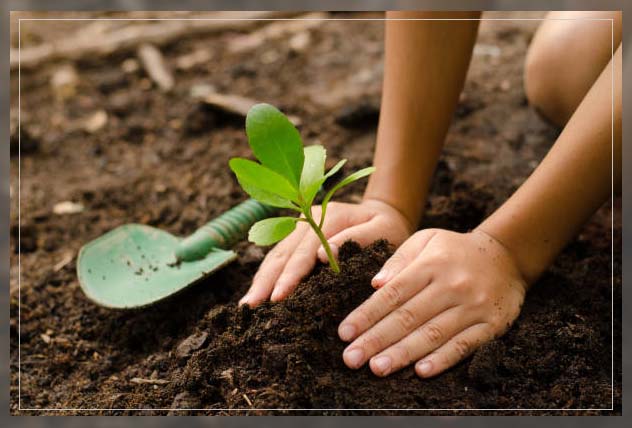 Soil conditioner 4