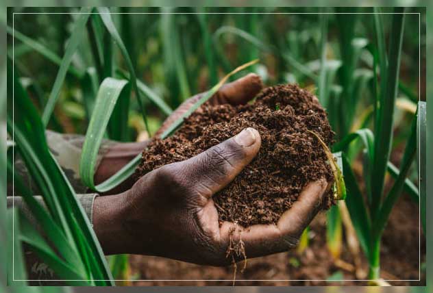 Soil conditioner 5