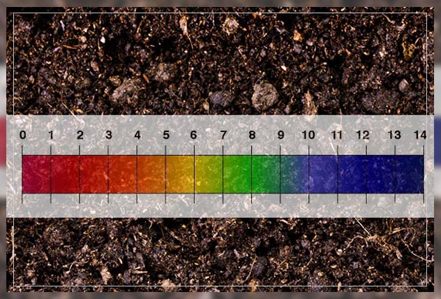 determining the value of alkaline soil