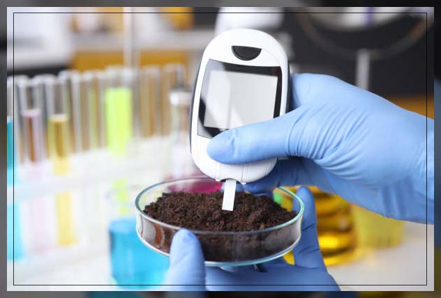 properties of alkaline soil