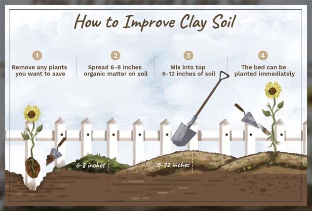 clay soil 1
