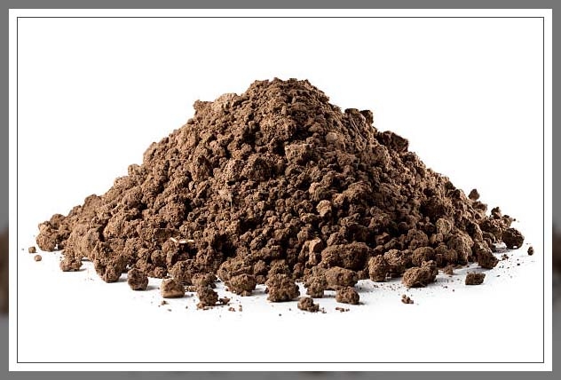 clay soil 2