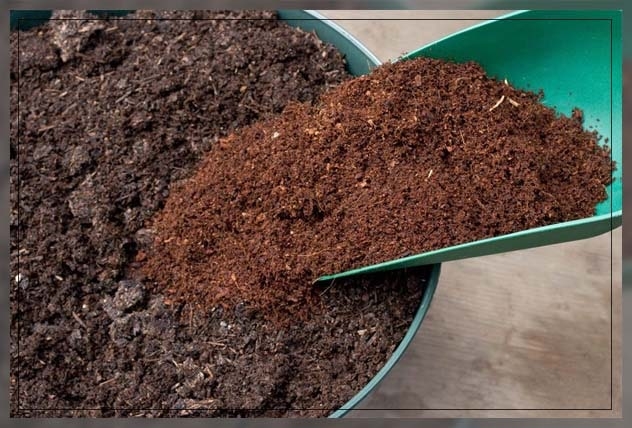 coconut coir