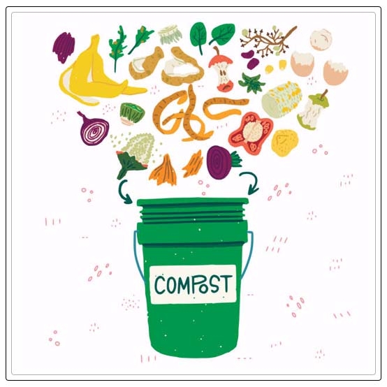 compost bin