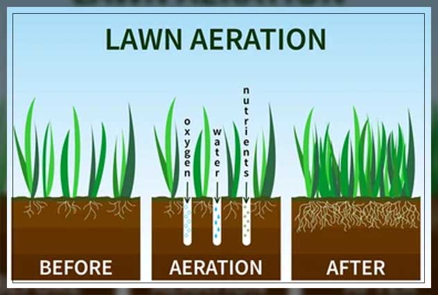 adapting quality skills for water aeration 