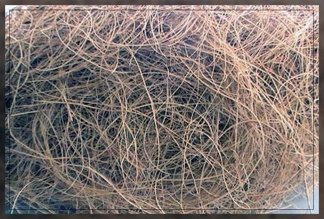 fiber