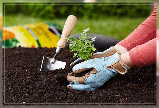 emphasizing the use of microorganisms