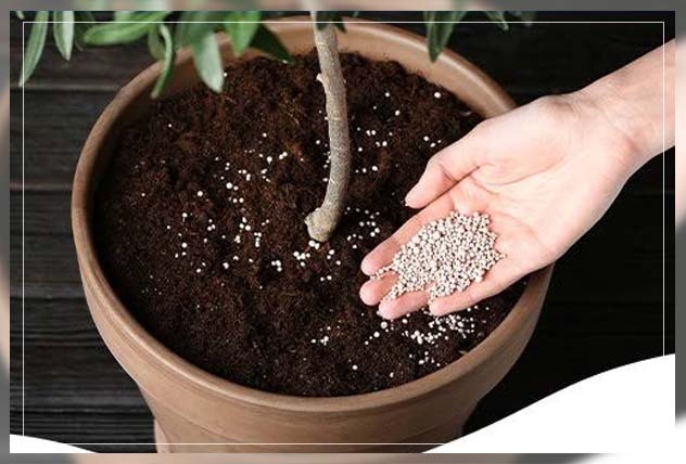 granular fertilizers