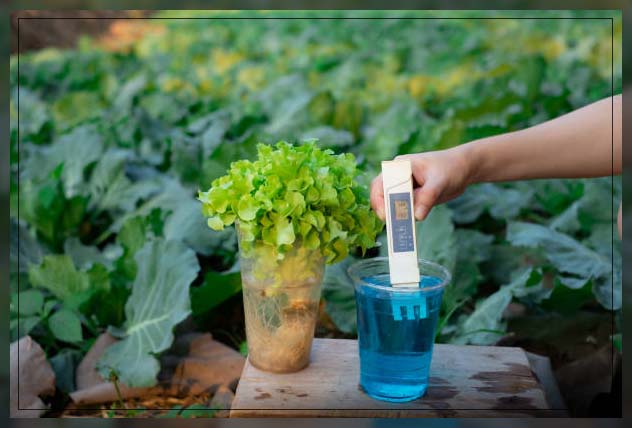 making compost tea 