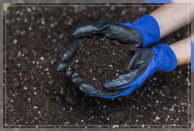 best kind of soil for gardening